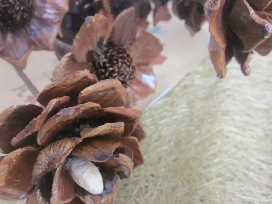 永生花插花制作方法,永生花制作教程520