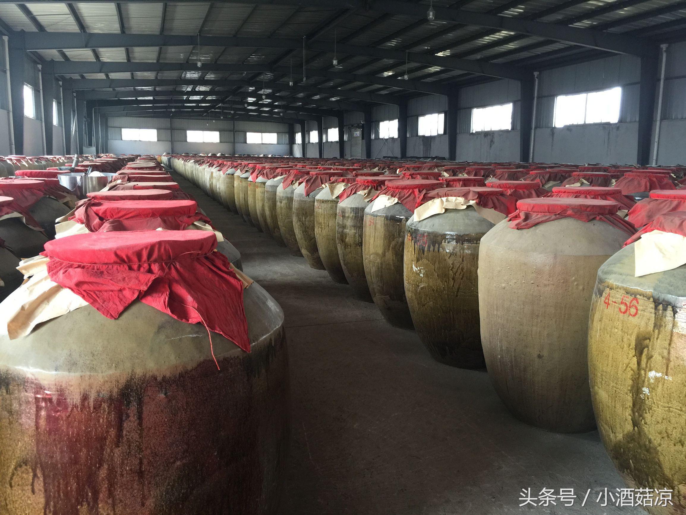 安琪白酒曲的酿酒方法,白酒酿造方法教学视频