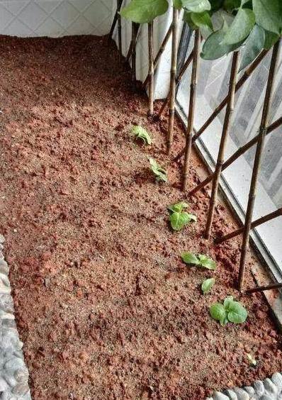 婆婆非要帮忙装修新房怎么办,农村婆婆故意找事