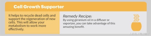 天竺葵精油涂在哪里止痛,面部专用精油天竺葵精油