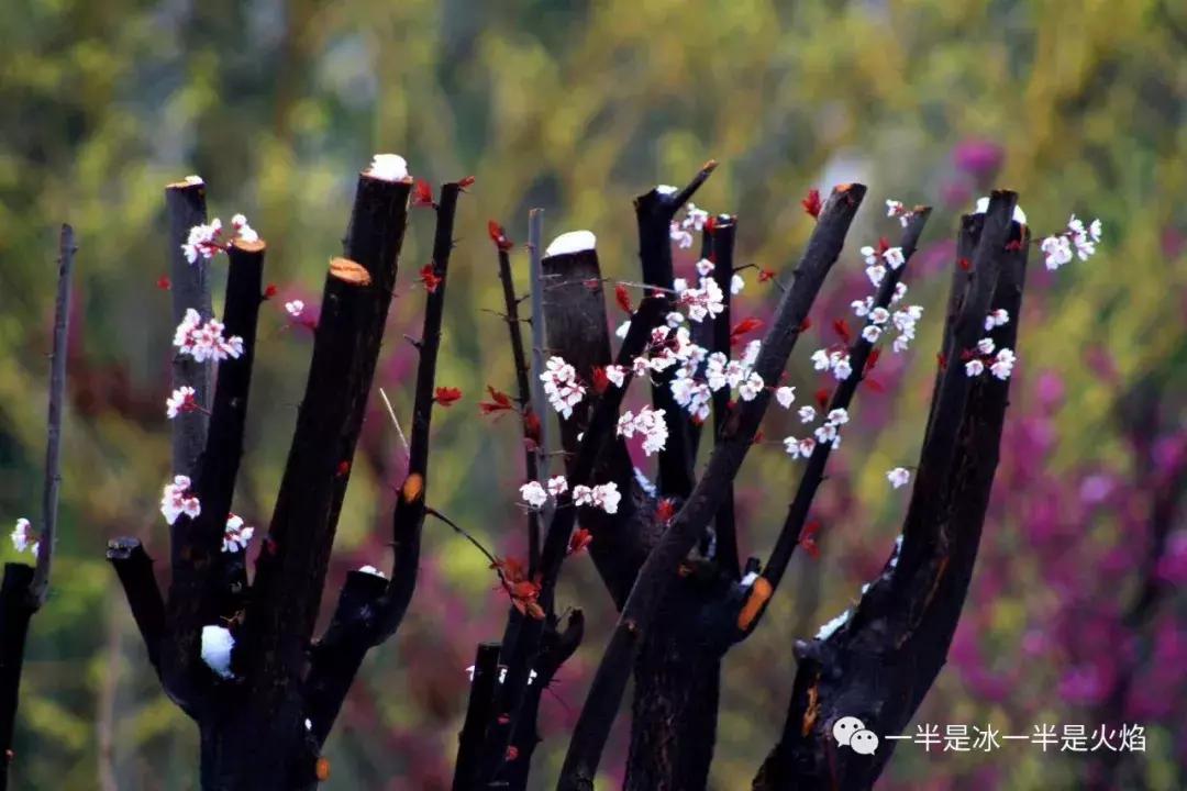 三月三：我有一片阳光，可暖四季薄凉