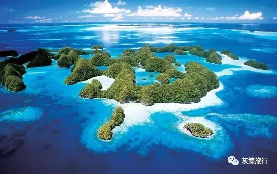 帕劳潜水在潜水界的地位,帕劳哪个岛适合潜水