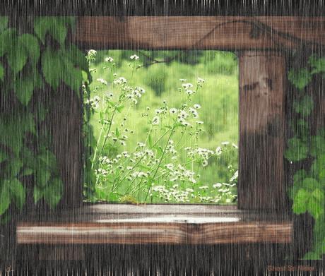朝暮雨节春耕生，雨淅百花蓑鹭鳜，八首春雨诗词赏析，春雨唤醒…