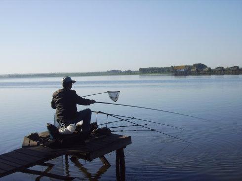 野生狼最多的地方去哪,哈尔滨野狼湖露营