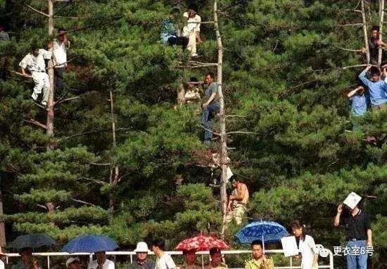 爬树、扮电工、装保安……细数球迷逃票看球的各种奇葩方式