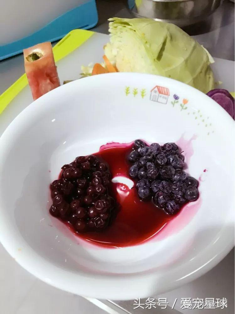 如何自制幼犬去泪痕狗粮视频教程,怎么给狗自制狗粮器