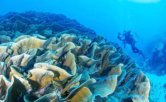 帕劳出行攻略详细,帕劳国内怎么去