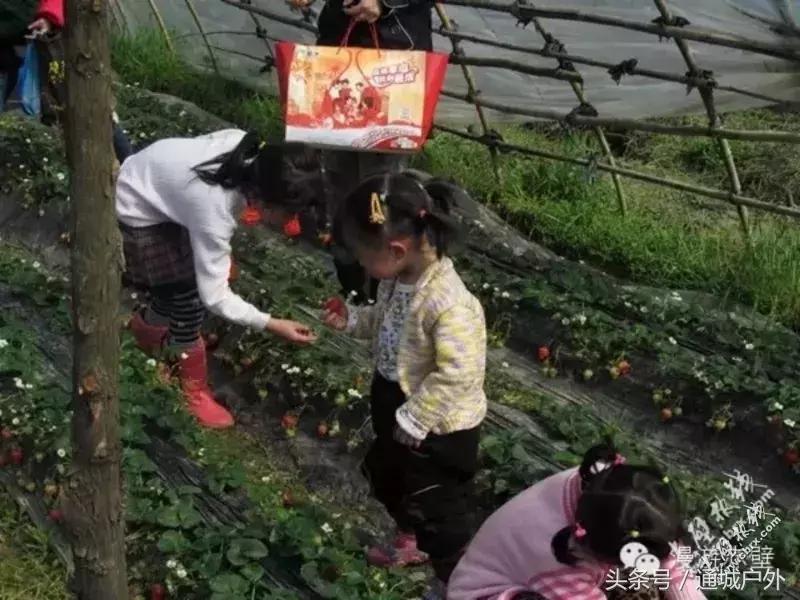 赤壁人在外打工现状,湖北赤壁人在浙江丽水打工