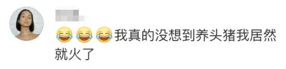民生｜“小猪佩奇”出事了！大学生寝室养猪被通报，学校：快送走！