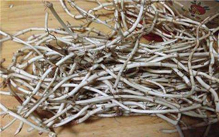 鱼腥草治疗脱发的做法,鱼腥草治脱发最好的方法