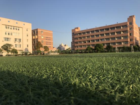 不要只看国外的基础设施，看看我国的小学厉害不厉害！