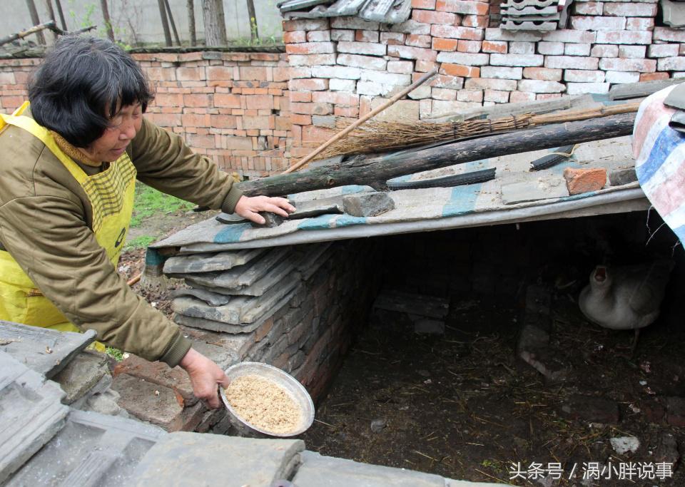 腌制咸鹅蛋的方法,咸鸭蛋鹅蛋腌制方法