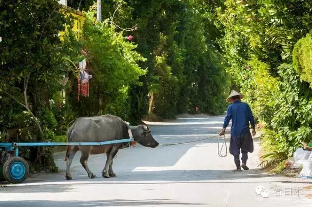 冲绳游玩,冲绳游玩攻略视频