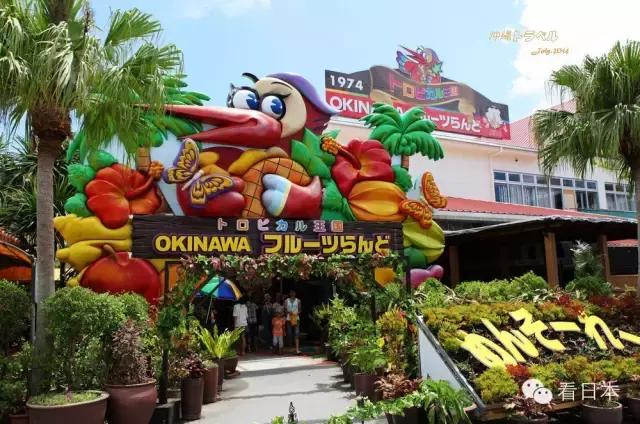 冲绳游玩,冲绳游玩攻略视频