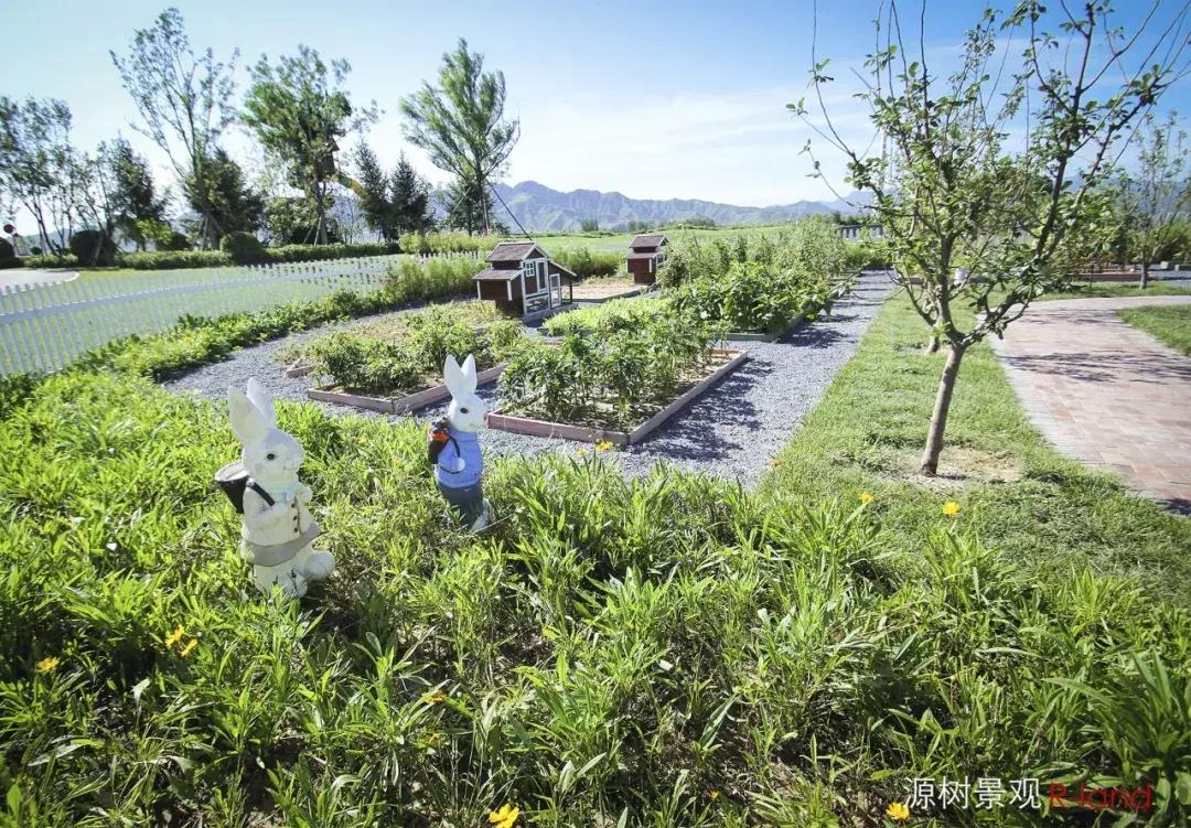 婧愭爲浣滃搧,楦垮潳钁¤悇閰掑皬闀囬珮鎬т环姣旂殑閫夋嫨