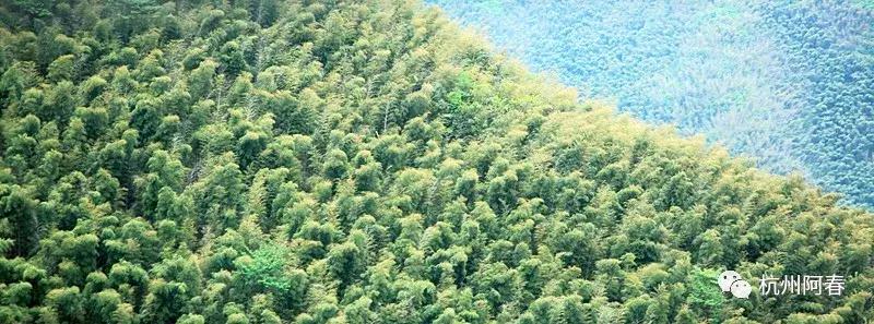 神游世外桃源完整视频,神游仙居景区