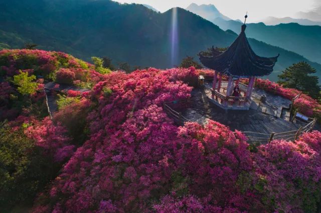 黄冈旅游一日游 (武汉黄冈景区有哪些景点)