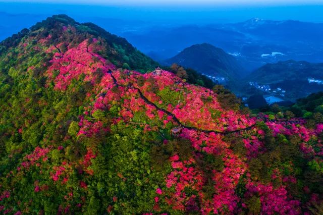 黄冈旅游一日游 (武汉黄冈景区有哪些景点)