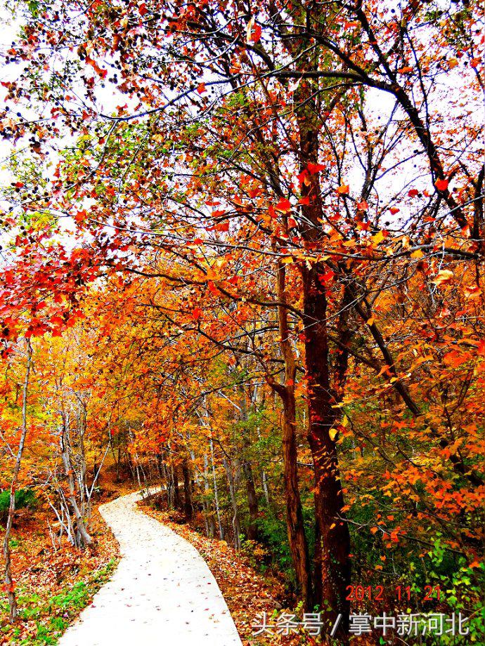 阴道竟然如此美丽