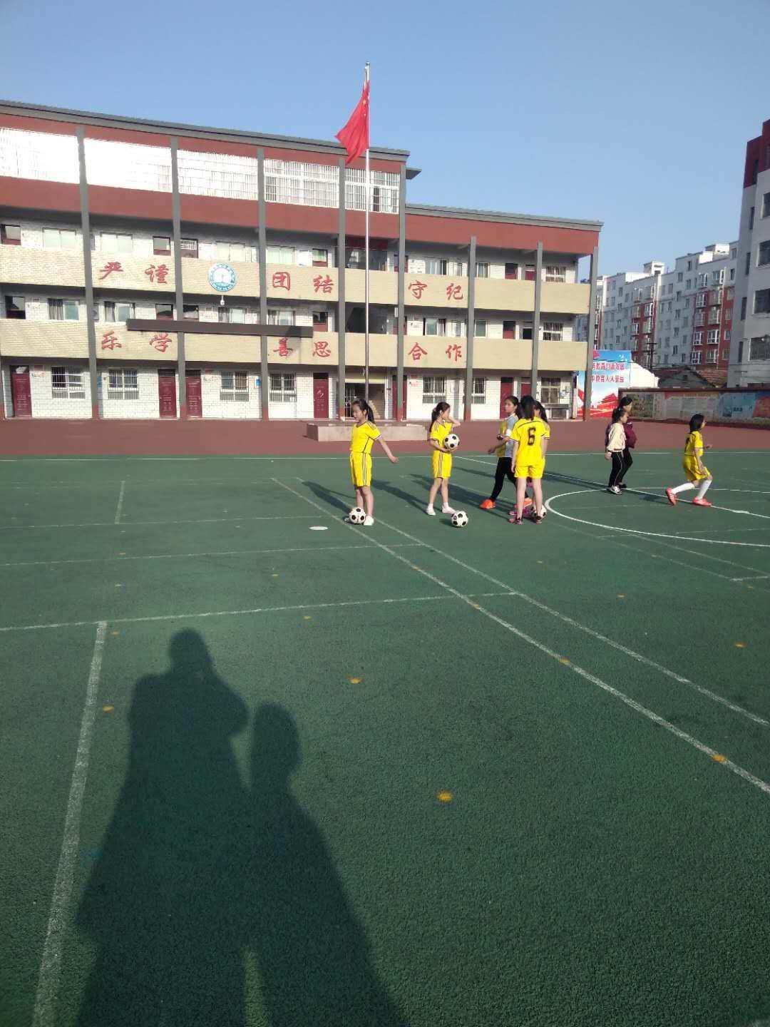 运动健儿们展英姿,运动健儿赛场展英姿