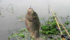 广西南宁钓鱼钓点,广西最新钓鱼技巧