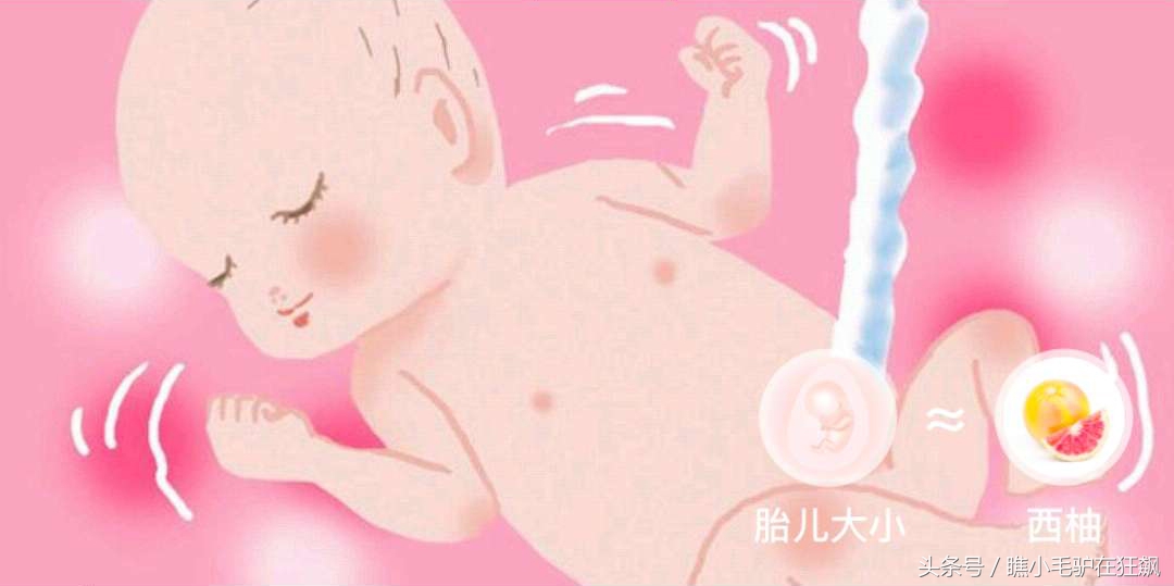 孕期宝宝变化的视频,妊娠第28周胎儿变化