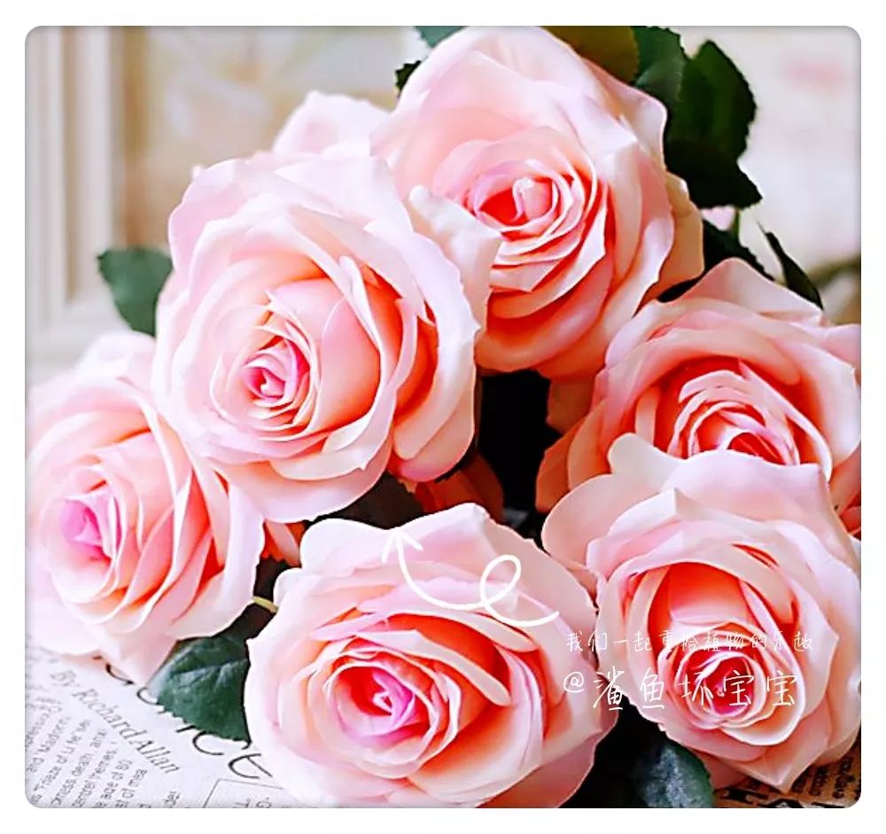 植物世界已发现了多少种植物,植物世界奇花异草