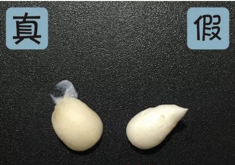 雅诗兰黛红石榴洗面奶真假对比 (雅诗兰黛红石榴洗面奶辨真假)