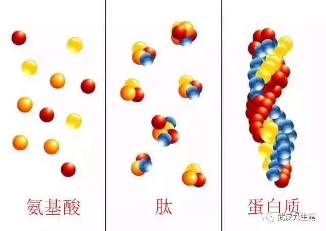 科学家探索生命秘密,科学家解释生命的终极奥秘