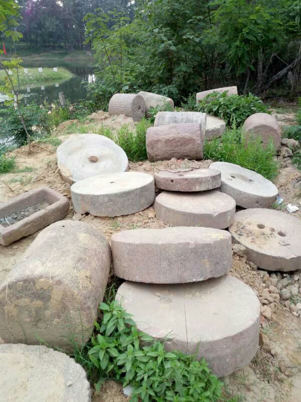 收藏的乐趣在哪里,收藏的乐趣优秀作文