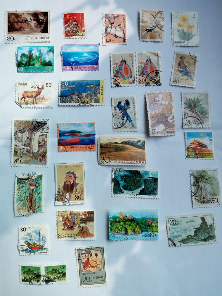 收藏的乐趣在哪里,收藏的乐趣优秀作文