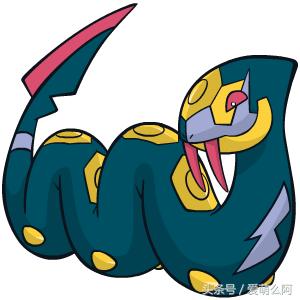 神奇宝贝大图鉴,神奇宝贝图鉴大全集