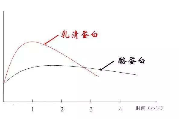 瘦子是吃增肌粉还是蛋白粉好,瘦子增肌吃增肌粉还是蛋白质粉