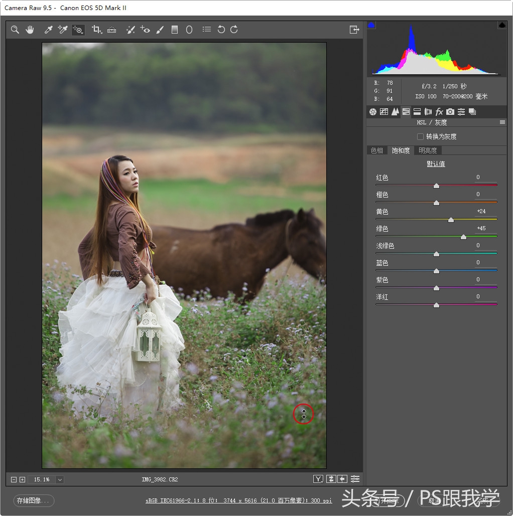 adobecameraraw工具怎么添加,cameraraw首选项怎么设置