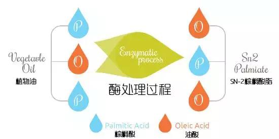 可瑞乐怎么区分原装奶粉,可瑞乐奶粉适合什么宝宝