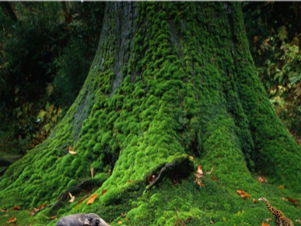 刘禹锡最著名十句古诗大全,刘禹锡最经典的诗句