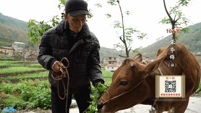 快干了这碗养生“珍珠粥”！103岁爷爷吃了变成这样……