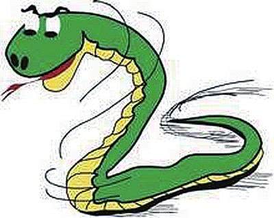 进家的蛇为什么不能打死呢,蛇进家打死预示什么