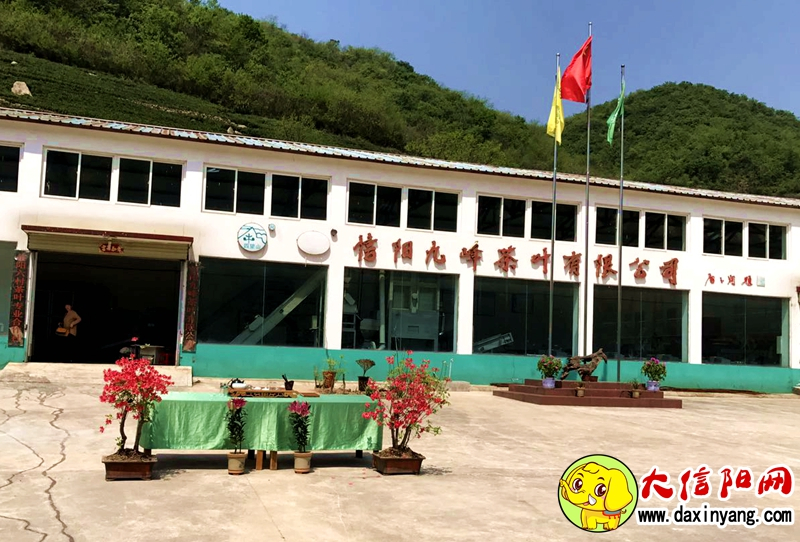 信阳市第二十六届茶文化节,第二十八届信阳茶叶文化节开幕式