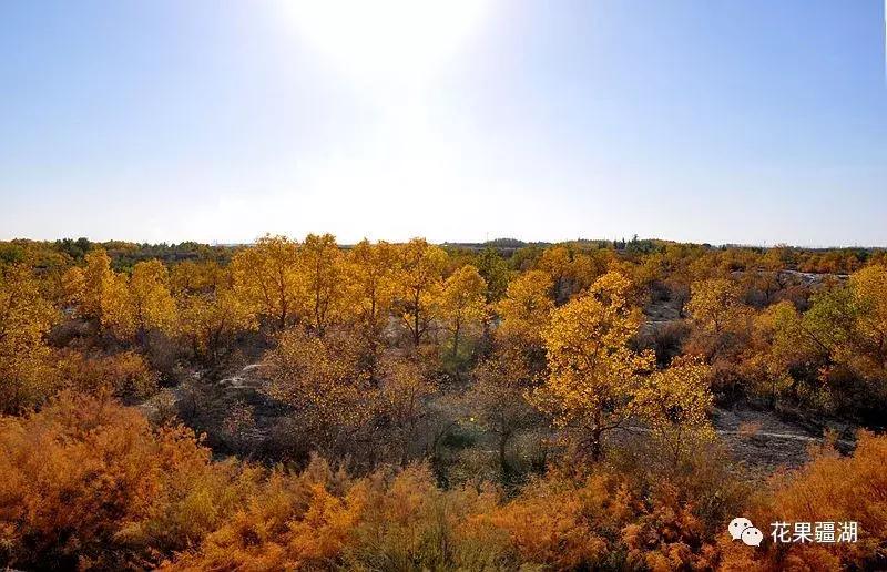 2022年乌鲁木齐5月1日放假几天,乌鲁木齐市周六日都放假了吗