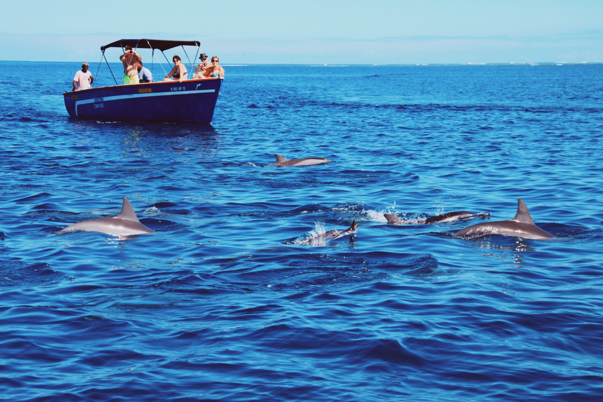 毛里求斯4天游攻略,毛里求斯自由行旅游攻略