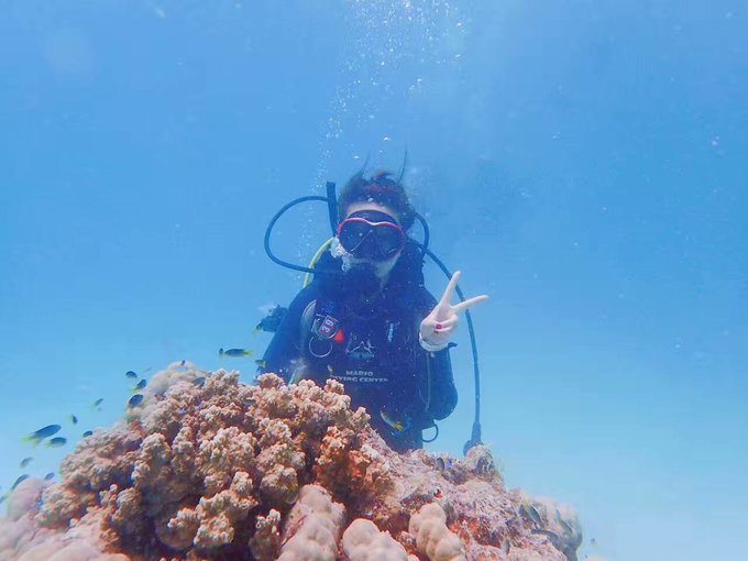 看我这发型酷不酷｜我觉得很可爱啊！帕劳潜水超级赞！