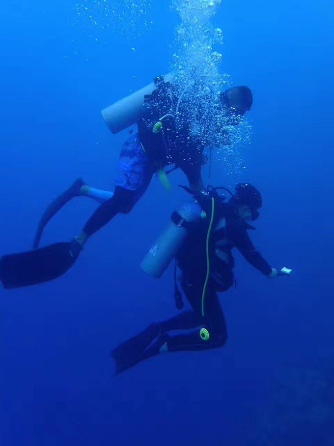看我这发型酷不酷｜我觉得很可爱啊！帕劳潜水超级赞！