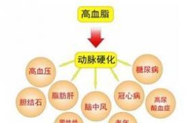 血脂高会引起血栓脑梗吗,高脂血症为什么会引起血栓