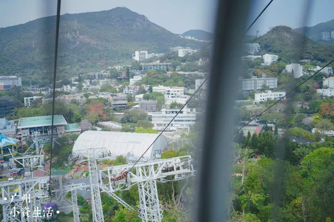 巴南海洋公园一日游攻略 (香港海洋公园游玩攻略)