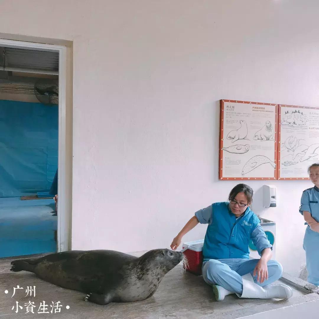 巴南海洋公园一日游攻略 (香港海洋公园游玩攻略)