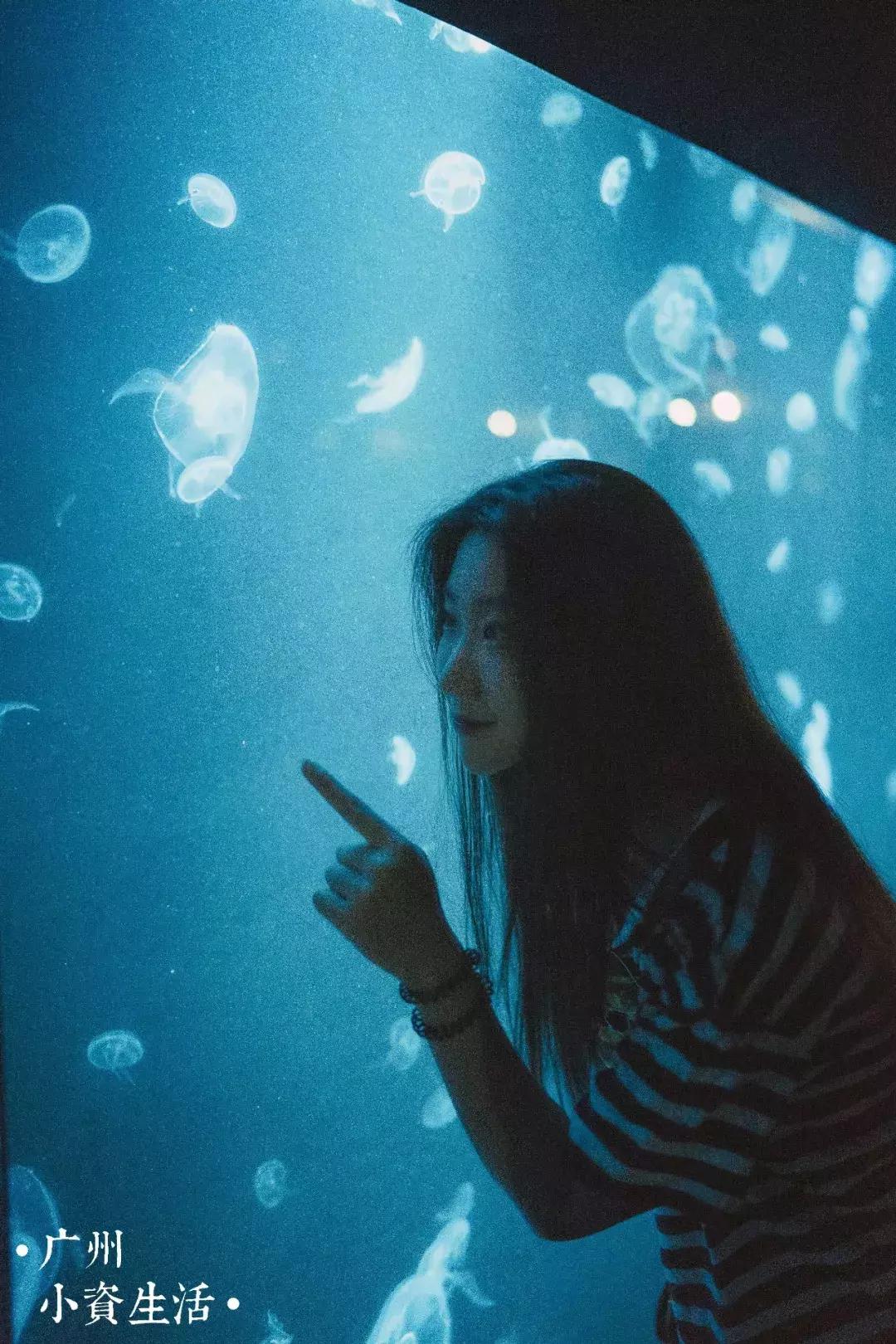 巴南海洋公园一日游攻略 (香港海洋公园游玩攻略)