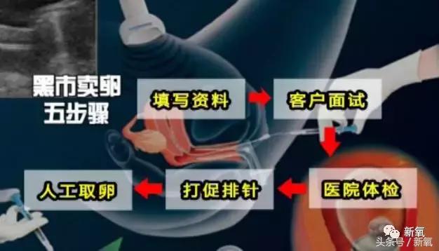 骗女生上床还买卖女生卵子，这些卖卵中介去死吧！