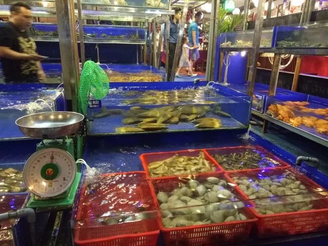 越南岘港的全身护理,越南岘港自由行旅游攻略