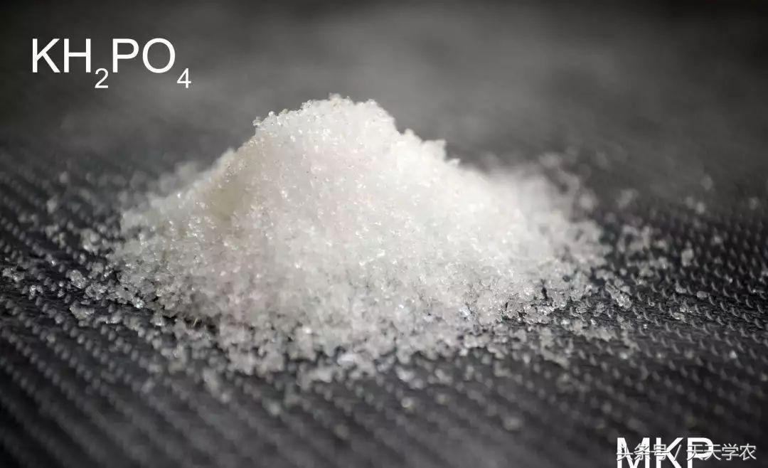 磷酸二氢钾掺假方法,假的磷酸二氢钾有肥效吗